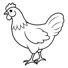    chicken vector illustration with line art.
