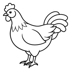    chicken vector illustration with line art.
