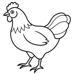    chicken vector illustration with line art.
