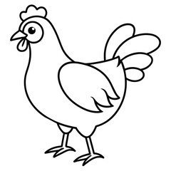    chicken vector illustration with line art.

