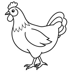    chicken vector illustration with line art.
