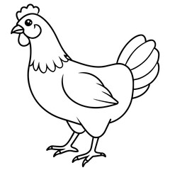    chicken vector illustration with line art.
