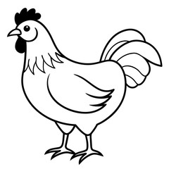    chicken vector illustration with line art.
