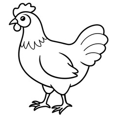    chicken vector illustration with line art.

