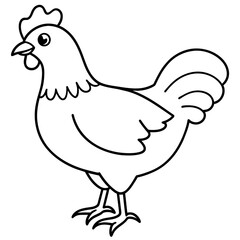    chicken vector illustration with line art.
