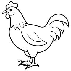    chicken vector illustration with line art.
