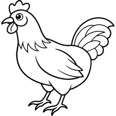   chicken vector illustration with line art.

