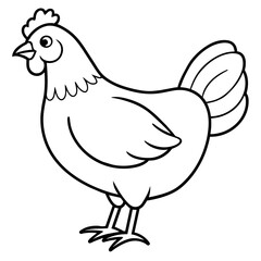    chicken vector illustration with line art.
