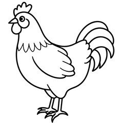    chicken vector illustration with line art.
