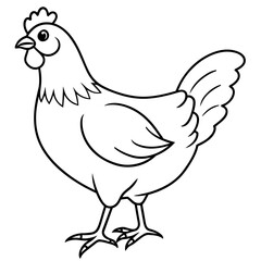    chicken vector illustration with line art.
