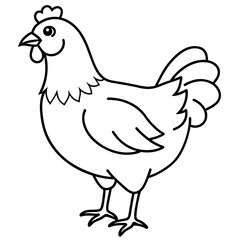    chicken vector illustration with line art.

