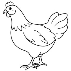 Fototapeta premium chicken vector illustration with line art. 