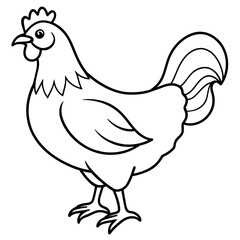    chicken vector illustration with line art.
