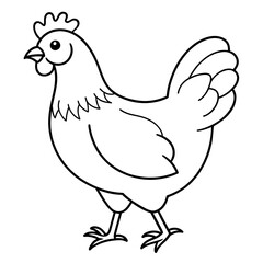    chicken vector illustration with line art.

