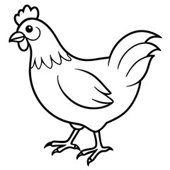    chicken vector illustration with line art.
