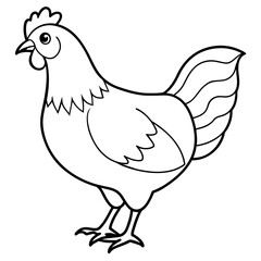    chicken vector illustration with line art.
