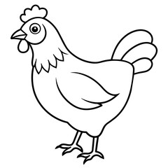   chicken vector illustration with line art.
