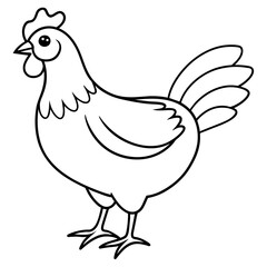    chicken vector illustration with line art.
