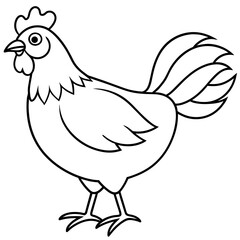    chicken vector illustration with line art.
