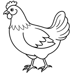    chicken vector illustration with line art.
