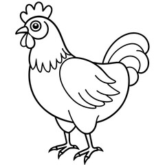   chicken vector illustration with line art.
