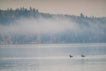 Salsbury Point County Park, Located on the shoreline next to the Hood Canal Bridge, Washington State
