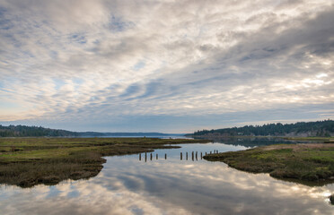 Theler Wetlands Nature preserve in Belfair, Washington State