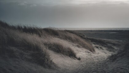 dune beach at sunset on the island of sylt schleswig holstein germany
