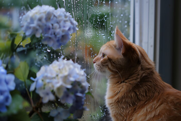 cat on the window in a rainy day generated by AI