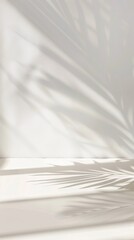 Obraz premium Vertical tropical leaves shadow on wall background