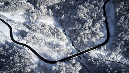 An aerial perspective showcases the stark contrast between the winding road, cutting a dark path...
