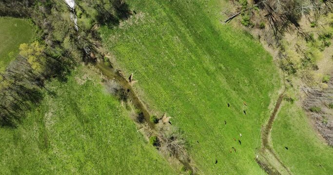Creek Through Lush Green Fields Near Glen Springs Lake In Drummonds, Tennessee. aerial topdown shot