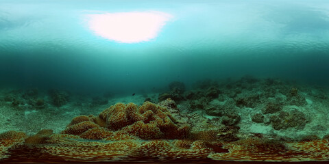 Coral garden seascape and underwater world. Colorful tropical coral reefs. Life coral reef. Philippines. 360VR Video.