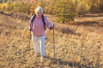 Attractive short haired middle aged woman in activewear hiking in forest using poles for nordic walking - 781102929