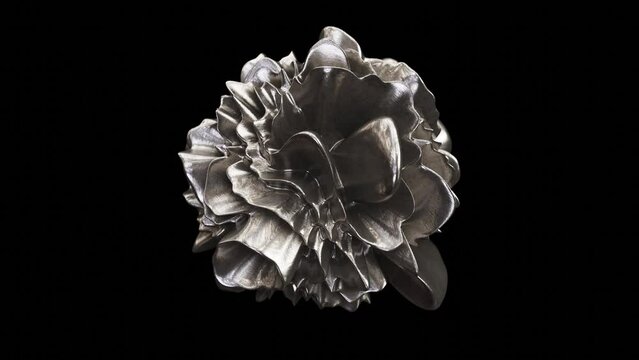 Realistic DOF abstract looping 3D animation of the morphing liquid textured aged silver metal flower-like form rendered in UHD with alpha matte