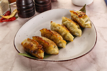 Fried Japanese stuffed dumplings - Gyoza