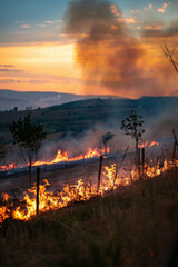 Wildfire in rural area