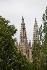 catedral de burgos