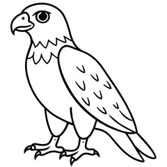 illustration of a bird