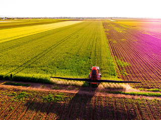Drone shot of a tractor spraying in lush green wheat fields under the bright sun, showcasing modern...