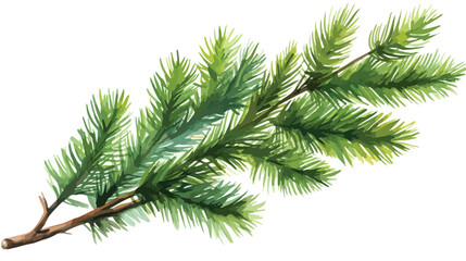 Green fir-tree branch. Hand painted watercolor illu