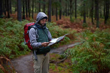Hiking, forest and man with map for camping adventure in woods and reading navigation for...