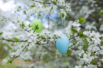 colorful easter eggs hanging from blossom branch in park or garden. spring banner for advertising, cherry tree