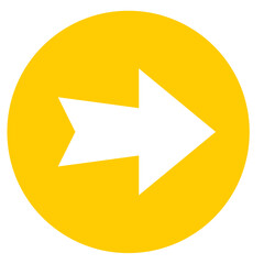 web arrow Icon right