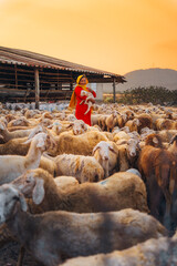 Vietnamese woman with lamb on a countryside, a sheep farm in the steppe zone in Ninh Thuan...