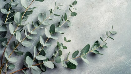 flying fresh green branches of eucalyptus on light gray background flat lay top view mock up nature eucalyptus leaves background eucalyptus branches pattern floral frame layout for design