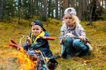 children frying sausages on wooden skewers over a bonfire in forest. camping with kids. summer camp - 781129394