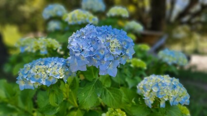 beautiful weather and awesome place of Swat Pakistan