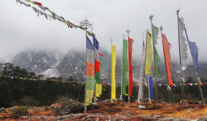 wilderness of north sikkim, beautiful alpine forest and surrounding cloudy-foggy himalaya mountains...
