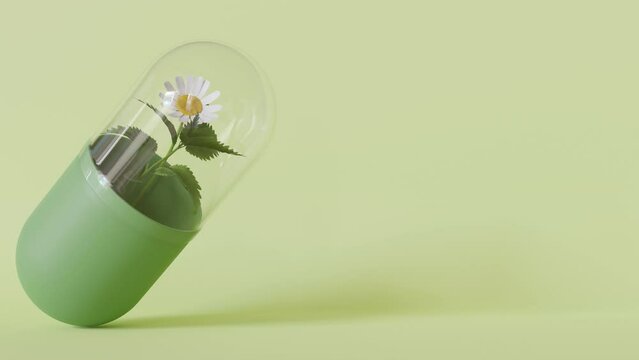Modern homeopathy pill concept with plants encased, ideal for advertising natural treatments, eco-friendly medicine. Homeopathic therapy. Copy space for text. Nettle and chamomile. 3D animation.